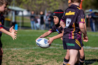 20190727_Under 7 (1) Vs ASToongabbie - R14_037