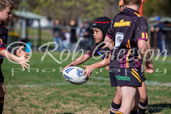 20190727_Under 7 (1) Vs ASToongabbie - R14_037