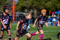 20190727_Under 7 (1) Vs ASToongabbie - R14_038