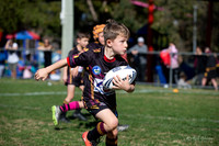 20190727_Under 7 (1) Vs ASToongabbie - R14_041