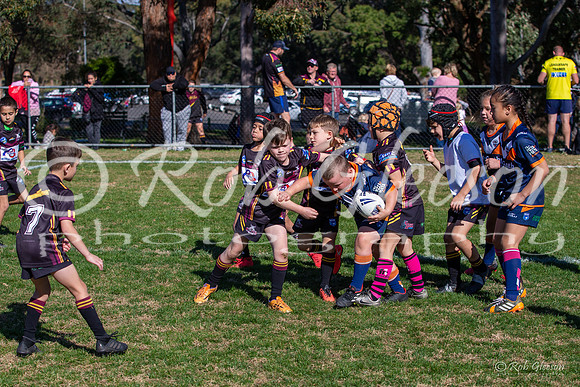 20190727_Under 7 (1) Vs ASToongabbie - R14_004