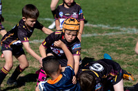 20190727_Under 7 (1) Vs ASToongabbie - R14_010