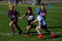 20190727_Under 7 (1) Vs ASToongabbie - R14_013