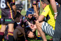 20190518_Under 8 (1) Vs Rouse Hill - R6_027