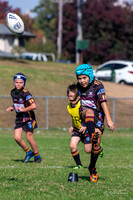 20190518_Under 8 (1) Vs Rouse Hill - R6_032