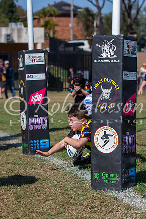 20190518_Under 8 (1) Vs Rouse Hill - R6_041
