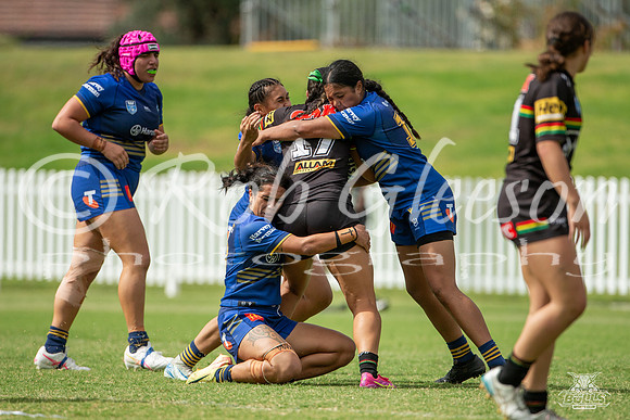 LFC - R6 - Eels v Panthers_44