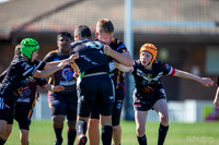 20190803_Under 13 (2) Vs Wenty - R15_006