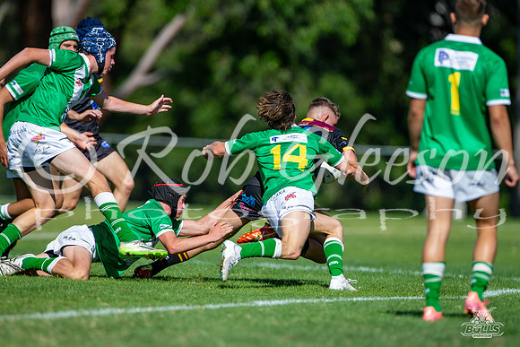 U17(1) R2 v Bondi_16