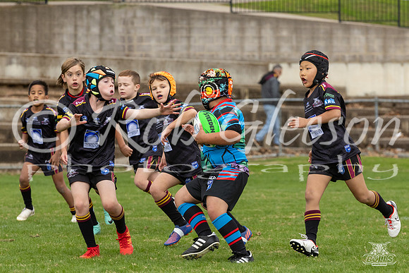 U8(2) - R4 CH Dragons_1