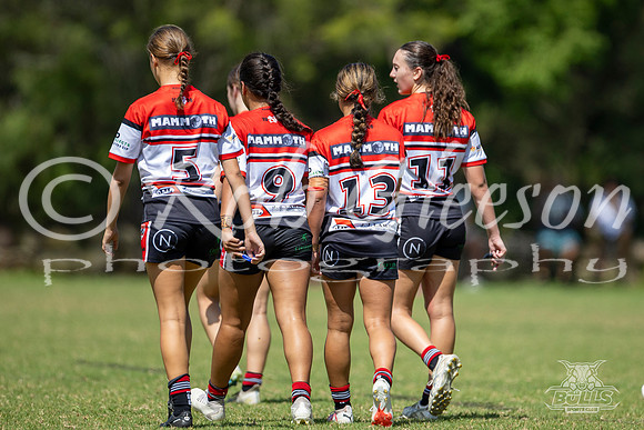 LFC - R3 - Bears v Steelers_011