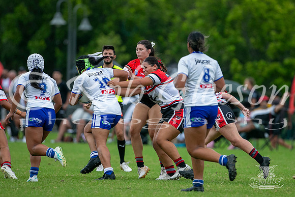 LFC - R5 - Bears v Bulldogs_003