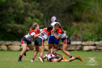 LFC 2024 R5 - Bears 0 v Bulldogs 60