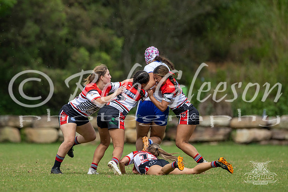 LFC - R5 - Bears v Bulldogs_001