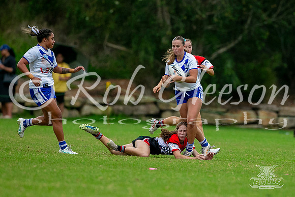 LFC - R5 - Bears v Bulldogs_004