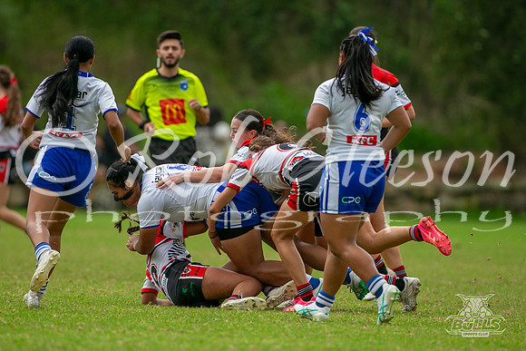 LFC - R5 - Bears v Bulldogs_009