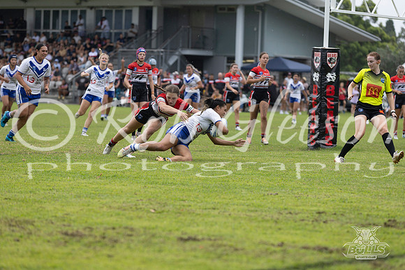 LFC - R5 - Bears v Bulldogs_018