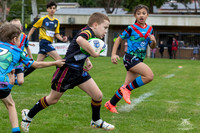 U8(2) - R4 CH Dragons_8