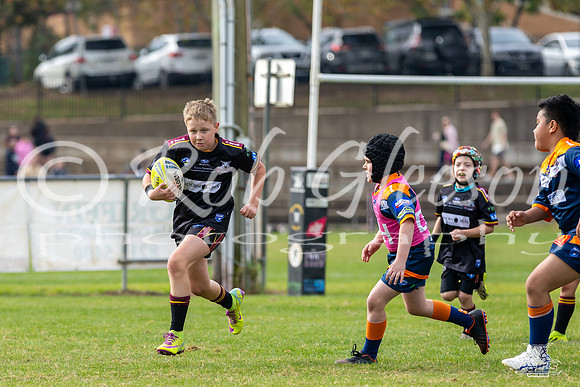U9(3) - R5 v AST Tigers_1