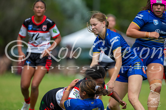 LFC - R2 - Bears v Eels_34