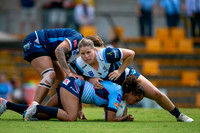CSNSW Cougars