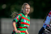 LFC 2024 R6 - Bears 12 v Rabbitohs 12