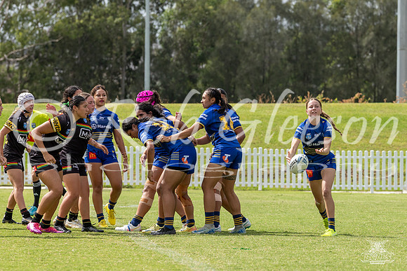 LFC - R6 - Eels v Panthers_45