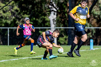 U10(1) R4 v Tigers_3