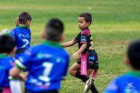 U6(1) - R6 v Titans_4