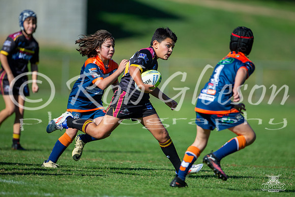 U10(1) R4 v Tigers_4
