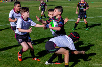20200718_U8(1) Vs U8(2) - R1_050