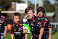 20200815_U8 Vs Wentworthville - R5_011