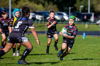 20200815_U8 Vs Wentworthville - R5_037