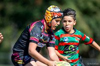 20200912_Under 11 (1) Vs Merrylands - R9_115