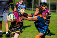 U7(3) R6 - Vs AST Tigers_003