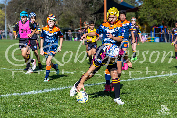 U10(1) R4 v Tigers_24