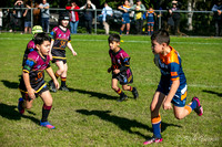 U7(3) R6 - Vs AST Tigers_004