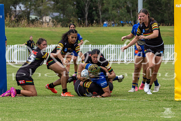 LFC - R6 - Eels v Panthers_66