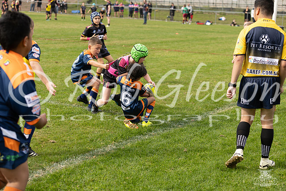 U9(3) - R5 v AST Tigers_9