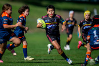 U10(1) R4 v Tigers_5