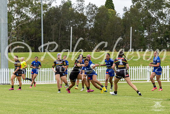 LFC - R6 - Eels v Panthers_70