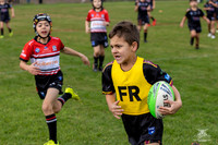 U8(3) - R5 v Kellyville_5