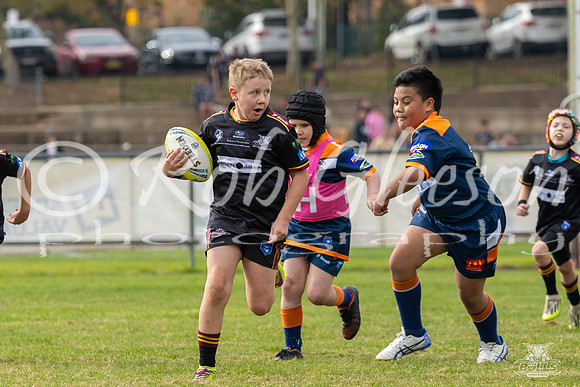 U9(3) - R5 v AST Tigers_2