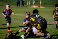 U8(2) R6 - Vs Mounties_002