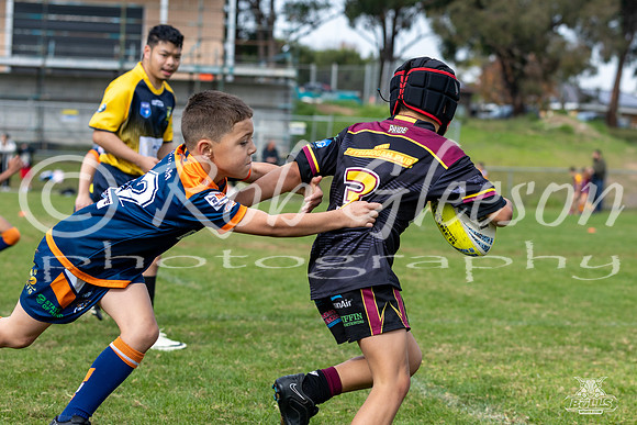 U9(3) - R5 v AST Tigers_7