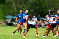 LFC - R2 - Bears v Eels_5