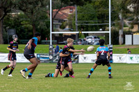 U13(1) R7 v CH Dragons_5