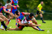 HMC - R2 - Bears v Knights_8