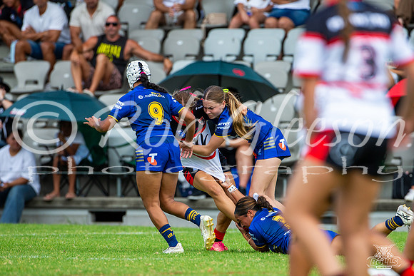 LFC - R2 - Bears v Eels_7