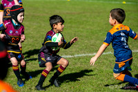 U7(3) R6 - Vs AST Tigers_009